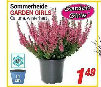 CENTERSHOP Sommerheide Garden Girls Calluna, Winterhart Angebot