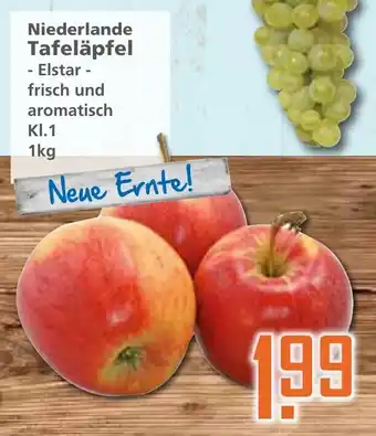 Klaas und Kock Niederlande Tafeläpfel 1kg Angebot