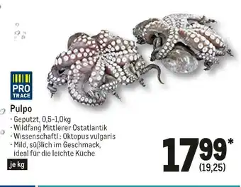 METRO Pulpo Angebot