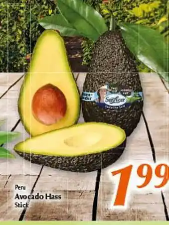 inkoop Peru Avocado Hass Angebot