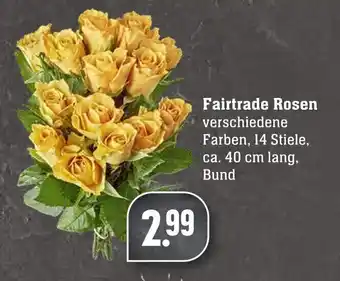 Edeka Neukauf Fairtrade Rosen Angebot