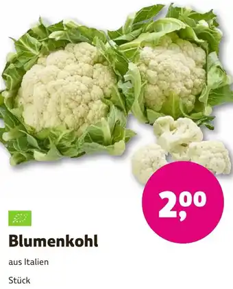 Denns BioMarkt Blumenkohl Angebot