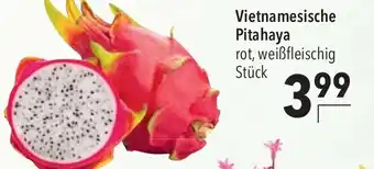 CITTI Markt Vietnamesische Pitahaya Angebot