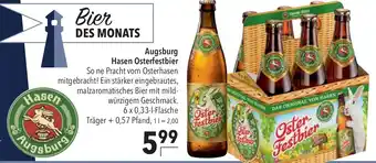 CITTI Markt Augsburg Hasen Osterfestbier 6 x 0,33 l Flasche Angebot