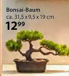 NKD Bonsai-baum Angebot