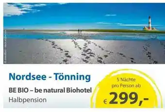 Edeka Nordsee- Tönning Angebot