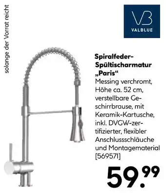 BayWa VALBLUE Spiralfeder-Spültischarmatur ,,Paris" Angebot