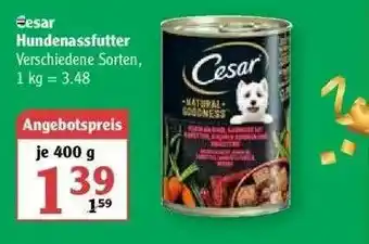 Globus Cesar Hundenassfutter Angebot