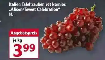 Globus Italien Tafeltrauben Rot Kernlos „alison Sweet Celebration” Angebot