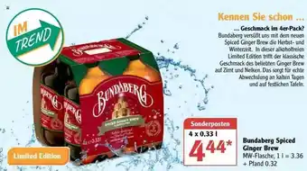 Globus Bundaberg Spiced Ginger Brew Angebot