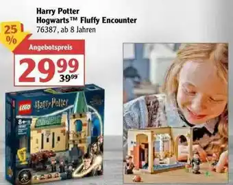 Globus Harry Potter Hogwarts Fluffy Encounter Angebot