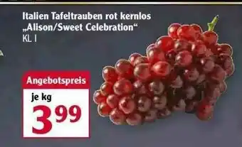 Globus Italien Tafeltrauben Rot Kernlos „alison Oder Sweet Celebration” Angebot