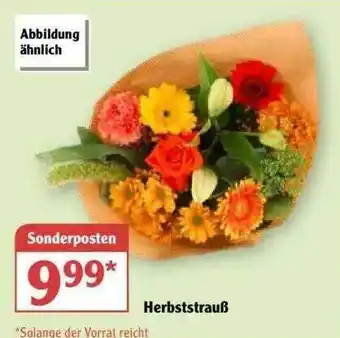 Globus Herbststrauß Angebot