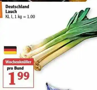 Globus Lauch Angebot