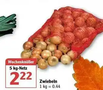 Globus Zwiebeln Angebot