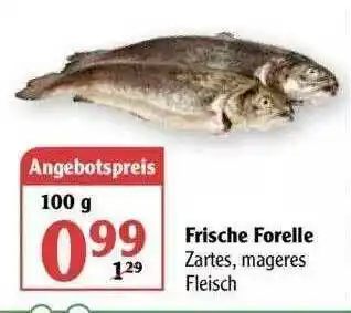 Globus Frische Forelle Angebot