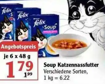 Globus Soup Katzennassfutter Angebot