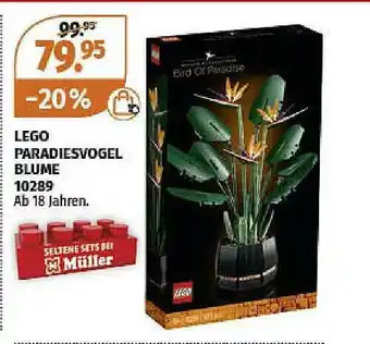 Müller Lego Paradiesvogel Blume 10289 Angebot