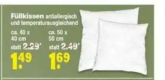 Repo Markt Füllkissen Angebot