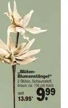 Repo Markt Blüten Blumenstängel Angebot