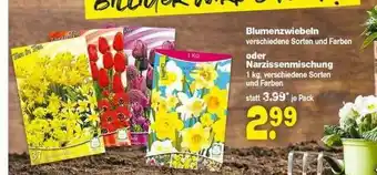 Repo Markt Blumenzwiebeln Oder Narzissenmischung Angebot