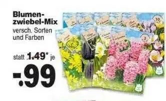 Repo Markt Blumenzwiebel-mix Angebot