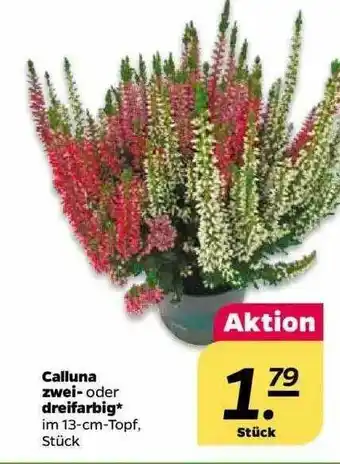 NETTO Calluna Zwei- Oder Dreifarbig Angebot