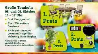 Pflanzen Kölle Große Tombola Angebot