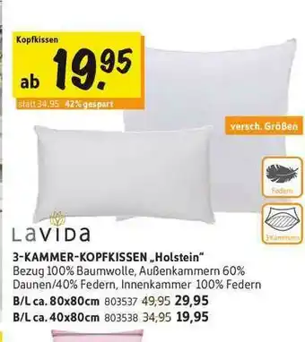 SCONTO Lavida 3-kammer-kopfkissen „holstein” Angebot