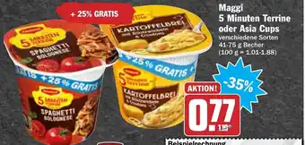 Hit Maggi 5 Minuten Terrine oder Asia Cups 41-75g Becher Angebot