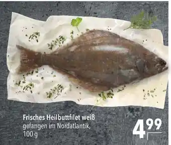 CITTI Markt Frisches Heilbuttfilet weiß 100g Angebot