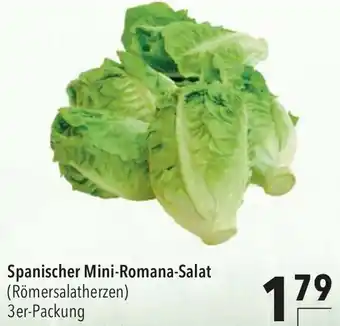 CITTI Markt Spanischer Mini Romana Salat Angebot