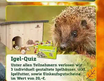 Pflanzen Kölle Lgel-quiz Angebot