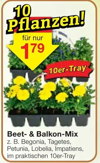 Jawoll Beet & Balkon Mix Angebot