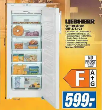 Expert Liebherr Gefrierschrank Gnp 2313-22 Angebot