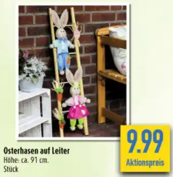 diska Osterhasen auf Leiter Angebot