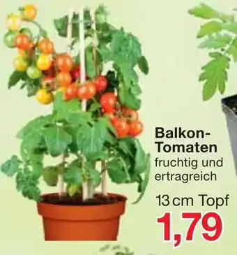 Jawoll Balkon Tomaten Angebot