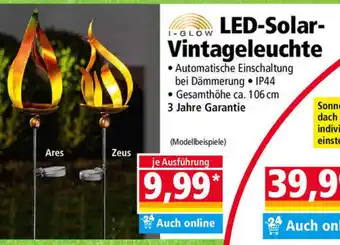 Norma LED Solar Vintageleuchte Angebot