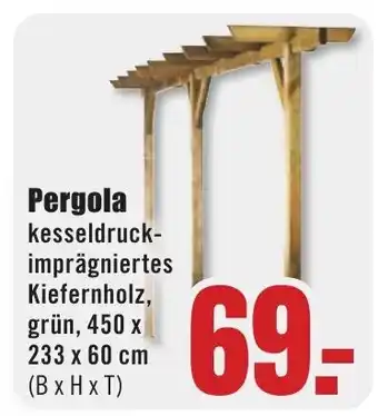 B1 Discount Baumarkt Pergola kesseldruck-imprägniertes Kiefernholz, grün, 450 x 233 x 60 cm (BxHxT) Angebot