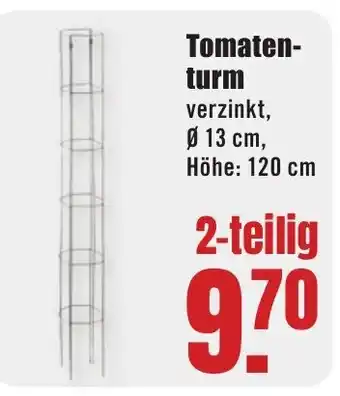 B1 Discount Baumarkt Tomatenturm 2-teilig Angebot