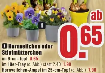 B1 Discount Baumarkt Hornveilchen oder Stiefmütterchen im 9-cm-Topf Angebot