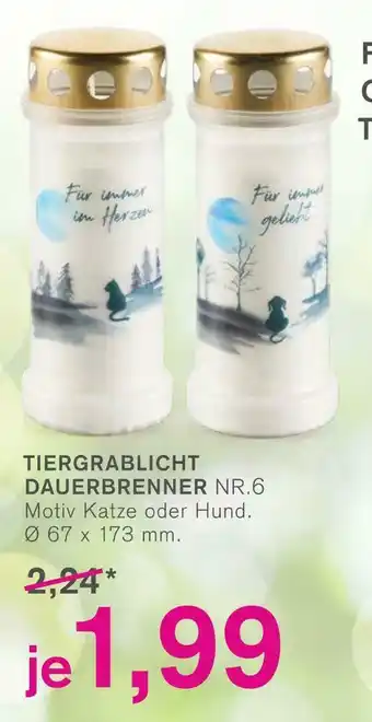 KODi Tiergrablicht dauerbrenner nr.6 Angebot