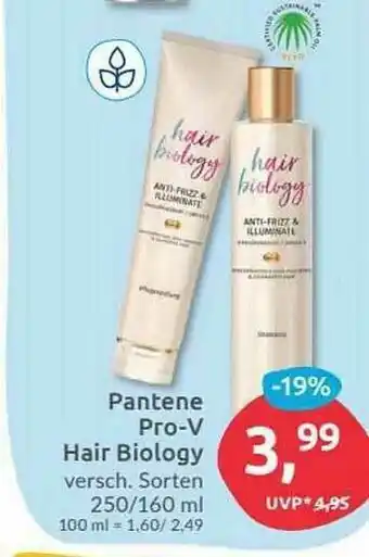 Budni Pantene Pro-v Hair Biology Angebot