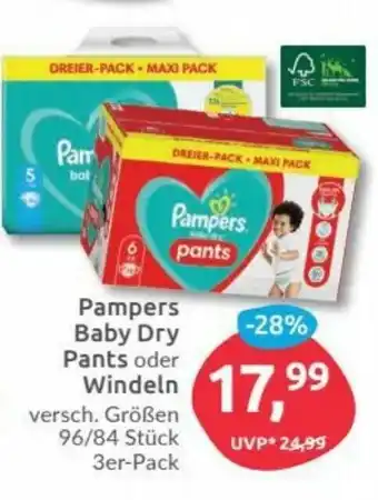 Budni Pampers Baby Dry Pants oder Windeln Angebot