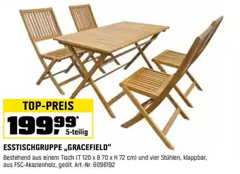 OBI ESSTISCHGRUPPE ,,GRACEFIELD" Angebot