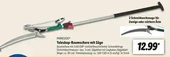 Lidl Parkside teleskop-baumschere mit säge Angebot