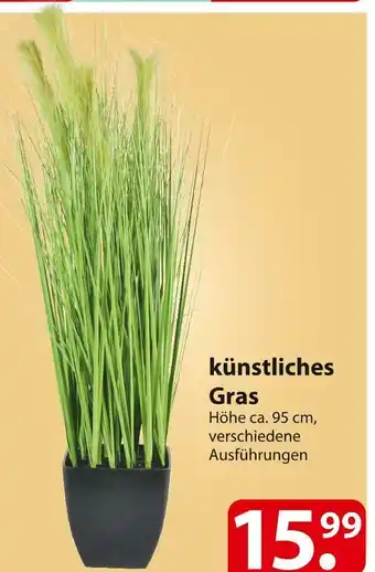 Famila Nord Ost Künstliches gras Angebot