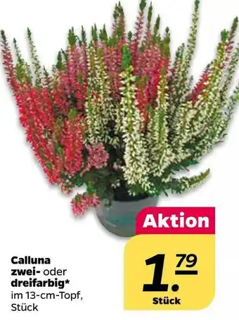 NETTO Calluna zwei- oder dreifarbig Angebot