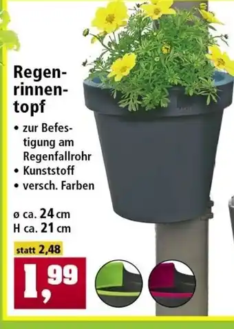 Thomas Philipps Regenrinnentopf Angebot