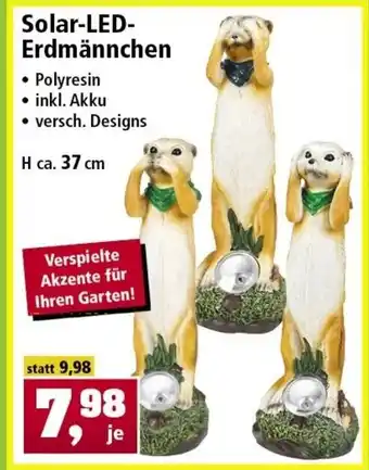 Thomas Philipps Solar LED Erdmännchen Angebot